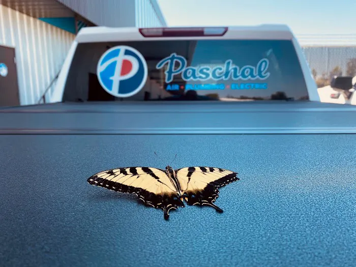 Paschal Air, Plumbing & Electric Picture 10