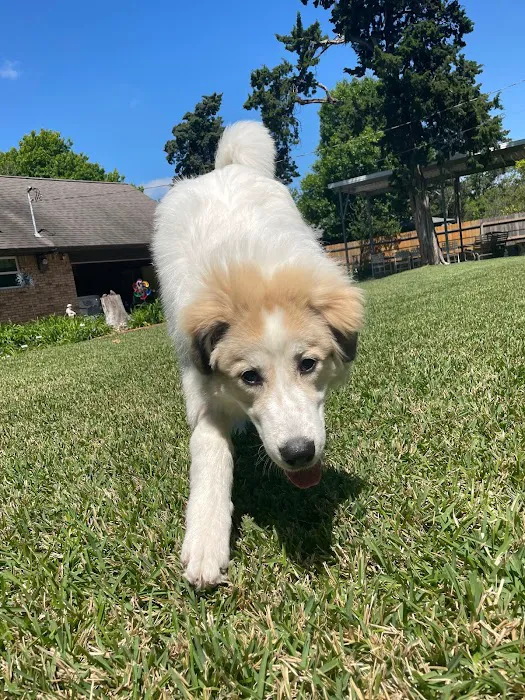 Barnaby Heating & Air LLC Picture 6