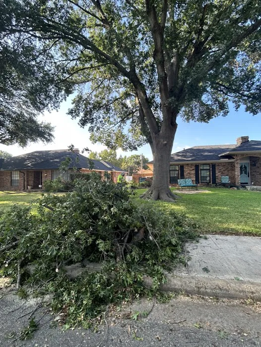 Lets fix it Dallas Picture 6