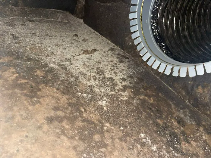 Clean Air Dallas Pro Picture 6