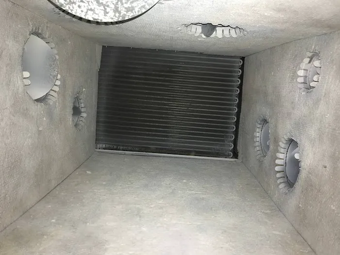 Clean Air Dallas Pro Picture 7