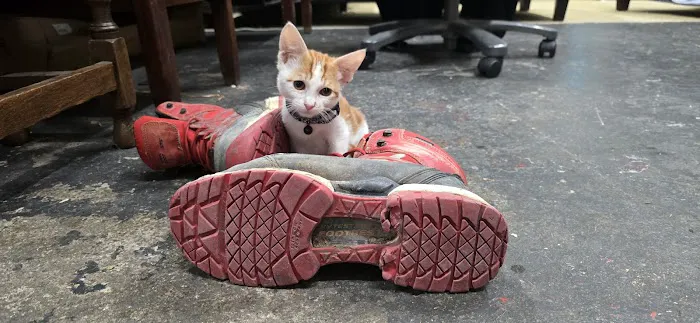 Deep Ellum Dallas Tx Plumbing Electrical Air Conditioning Repair LLC Picture 6