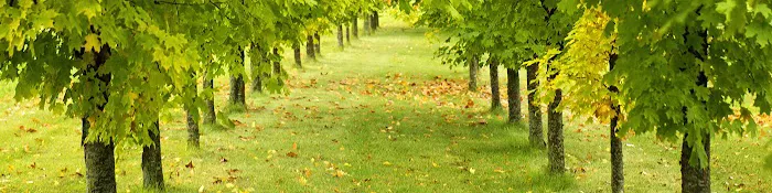 Precision Air Systems Inc Picture 1