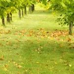 Precision Air Systems Inc