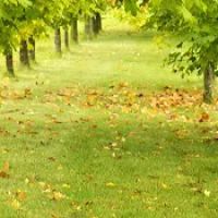 Precision Air Systems Inc ico