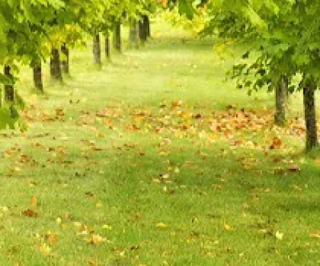 Precision Air Systems Inc