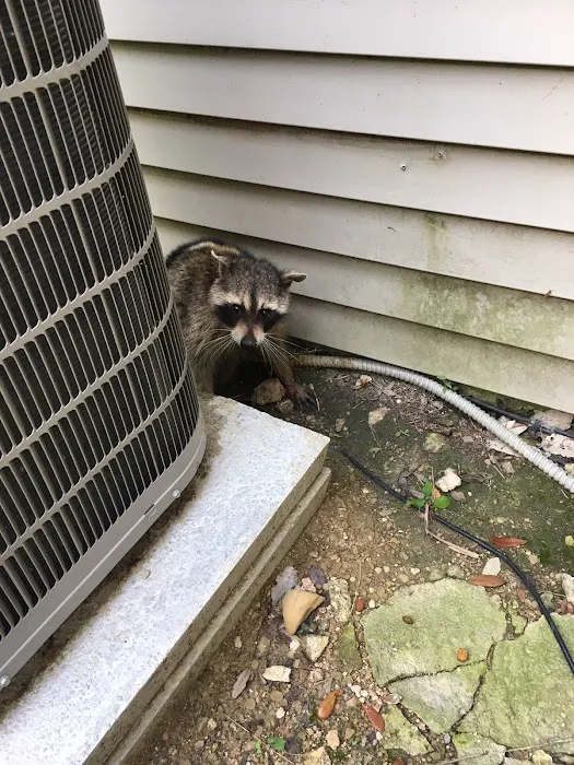 All About Air Picture 7