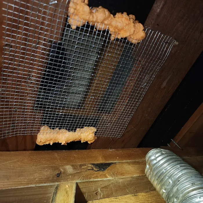 TX Builder, Attic Insulation & Air Duct Cleaning Specialist Picture 6