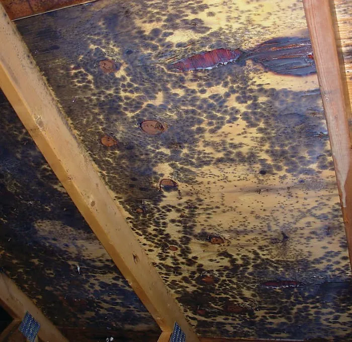 TX Builder, Attic Insulation & Air Duct Cleaning Specialist Picture 10