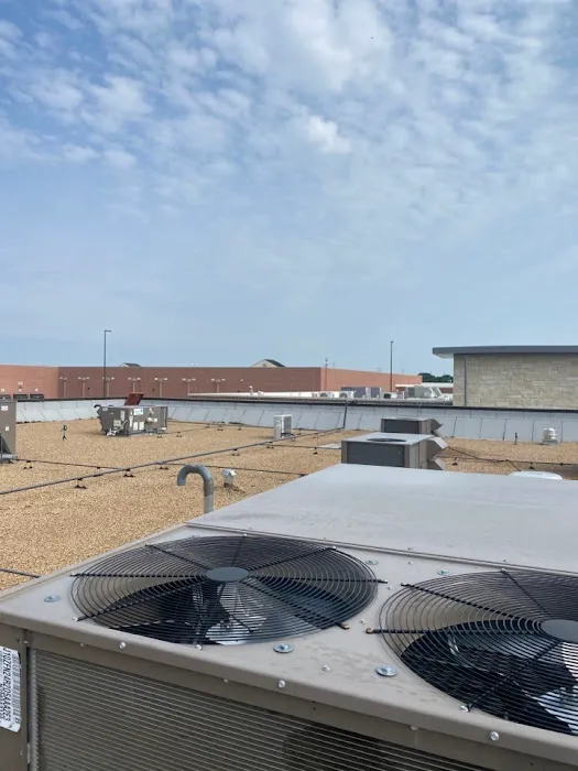 Element Mechanical Picture 8