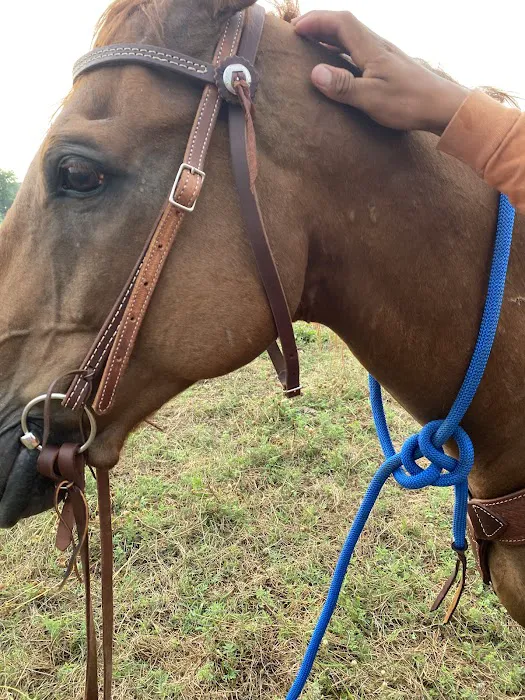 SubCooling Air Services Picture 4