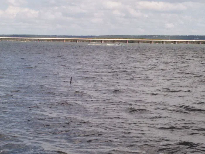 Air Aces of DFW Picture 5