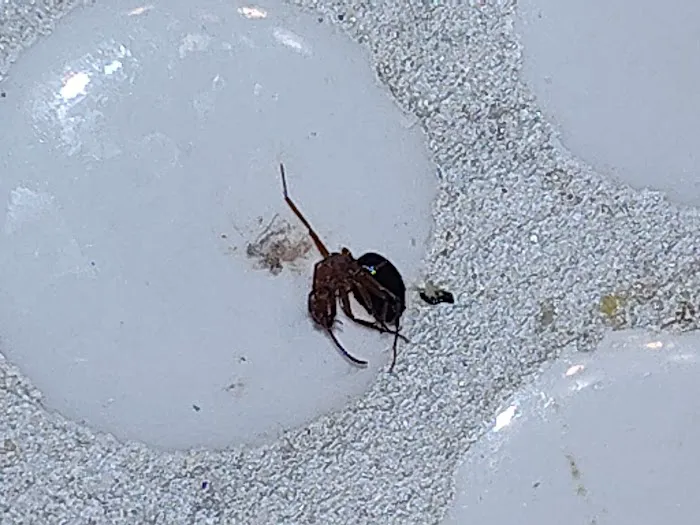 Luna's Heating & Air Picture 1