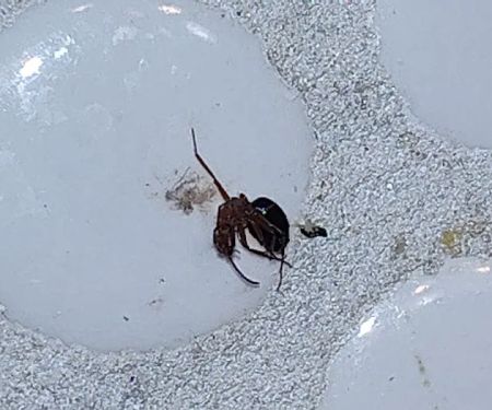 Luna's Heating & Air