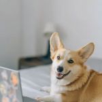 Quigley Heating & Air Conditioning