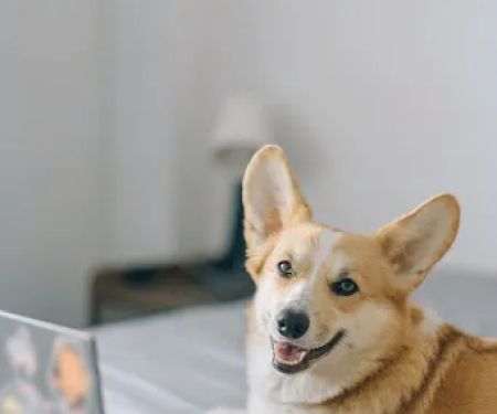 Quigley Heating & Air Conditioning