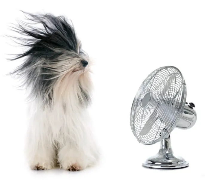 Quigley Heating & Air Conditioning Picture 3