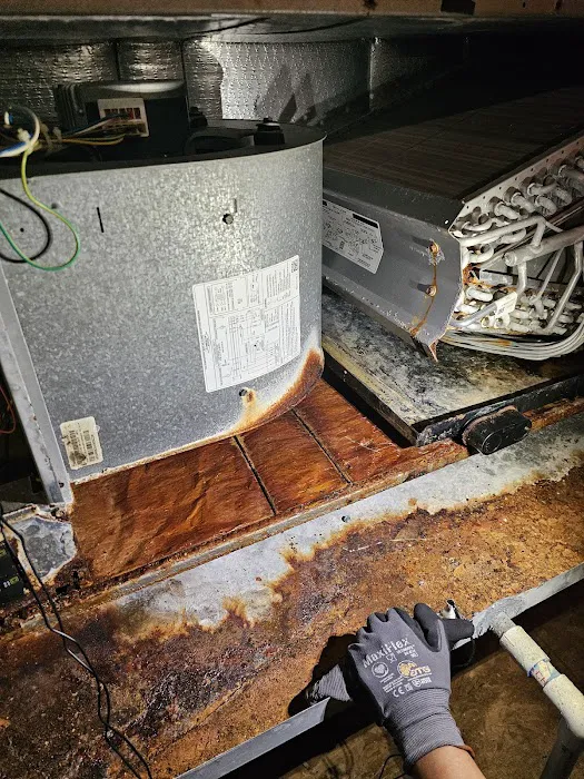 Air Rey Service Picture 10