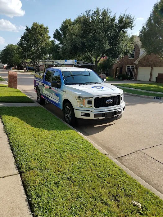 Diamond Blue Air Picture 8