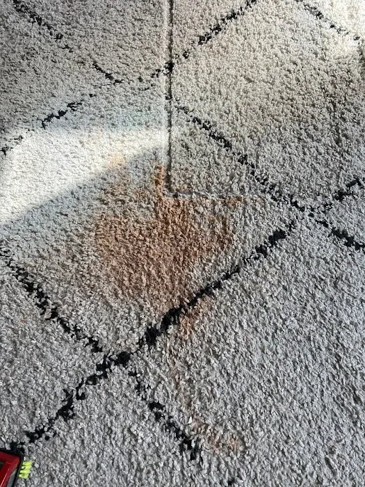 ANGLIN SERVICES Picture 8