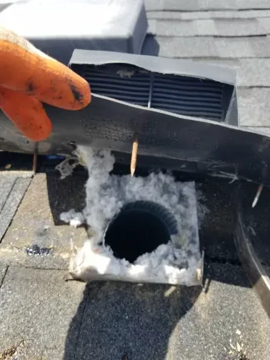 Dandy Home Service Picture 1