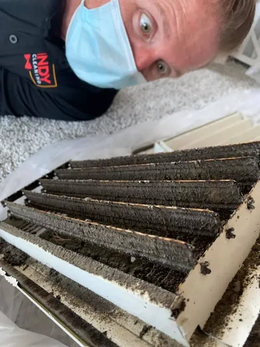 Dandy Home Service Picture 2