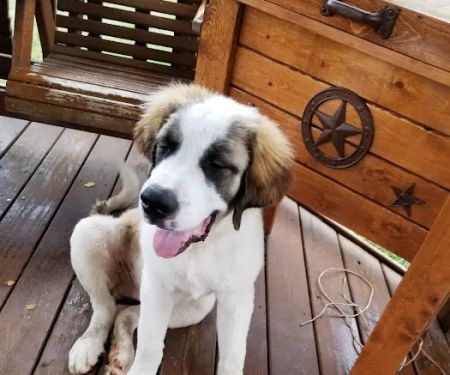 Joe Cool's Cooling & Heating