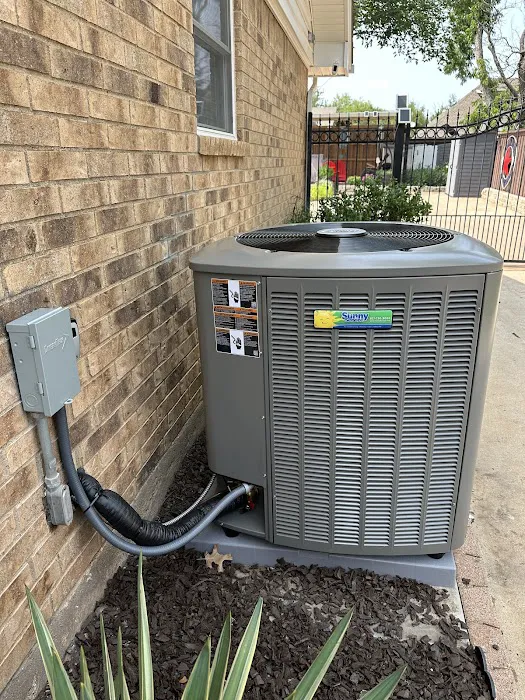 Sunny Service Picture 4