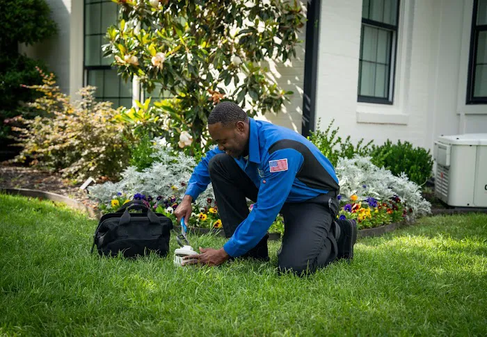 Sunny Service Picture 5