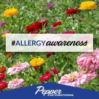 Pepper Air Conditioning & Heating ico