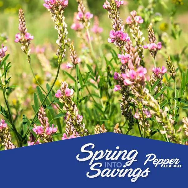 Pepper Air Conditioning & Heating Picture 7