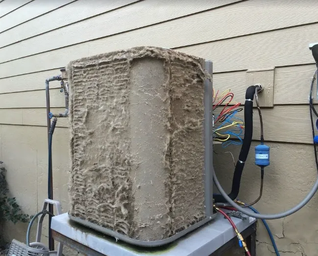 D.A.D. Home Services Picture 3