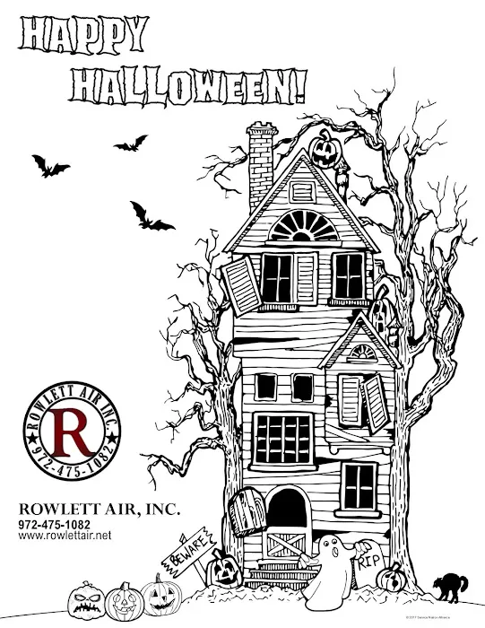 Rowlett Air, Inc. Picture 3