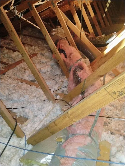 Elite Clean & Restoration Picture 4