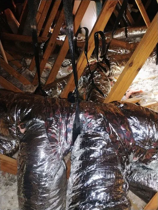 Elite Clean & Restoration Picture 7