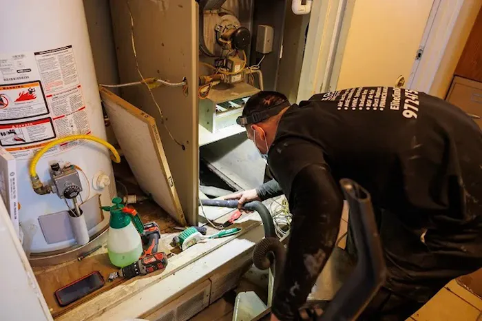 Elite Clean & Restoration Picture 2