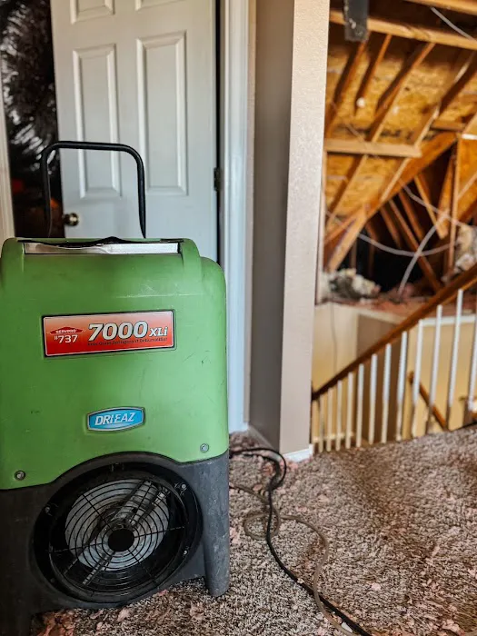 SERVPRO of Paris Picture 1