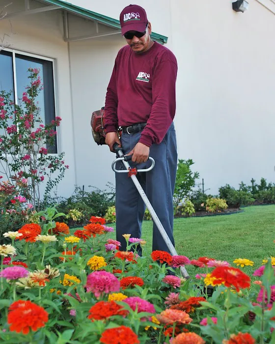 ABC Home & Commercial Services Picture 10