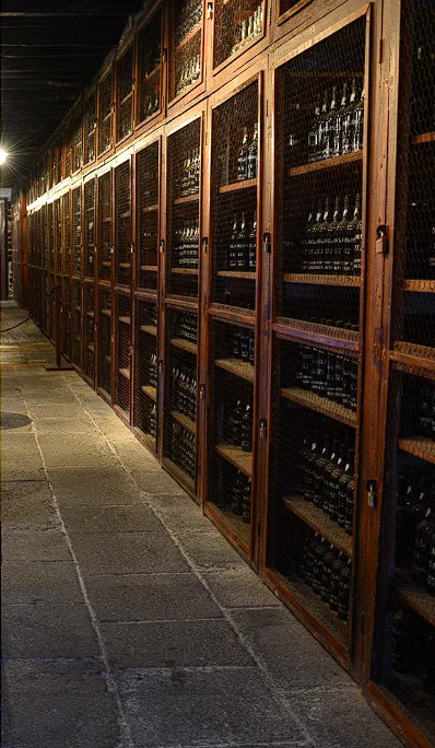 Schneider Mechanical Picture 4