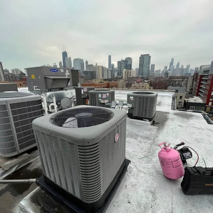 Schneider Mechanical Picture 2