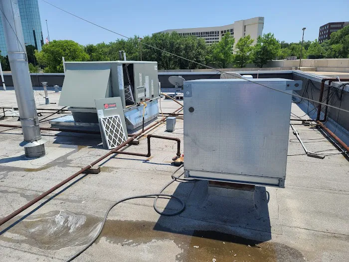 LLA BLESSING LLC Picture 8