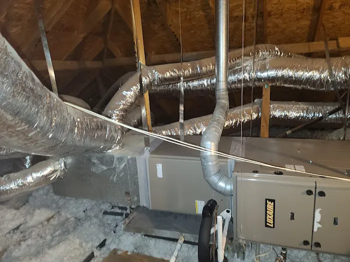 LLA BLESSING LLC Picture 3