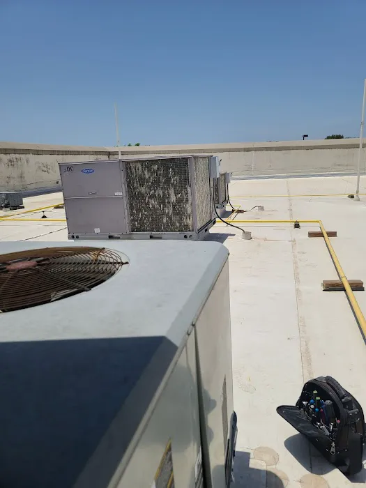 LLA BLESSING LLC Picture 1