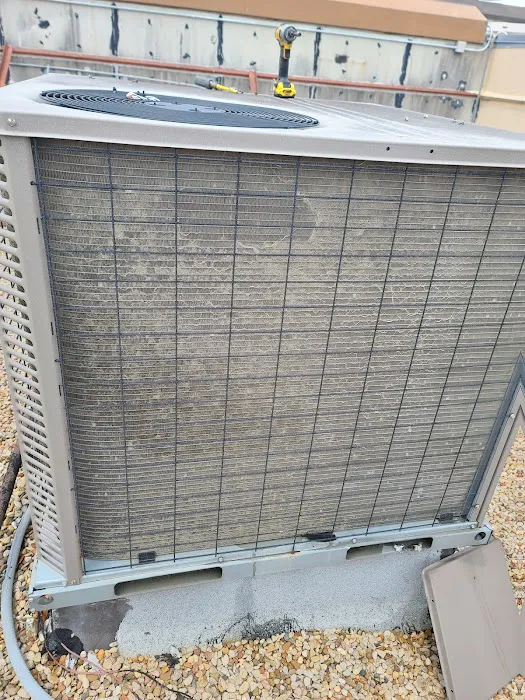 LLA BLESSING LLC Picture 6