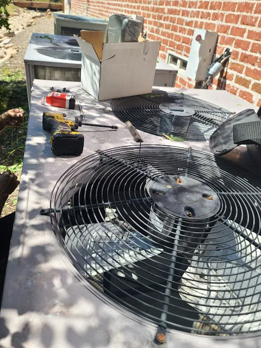 LLA BLESSING LLC Picture 9