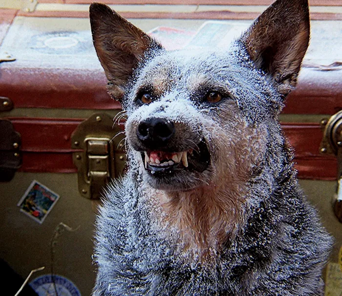 Tropic Air & Heat Picture 4