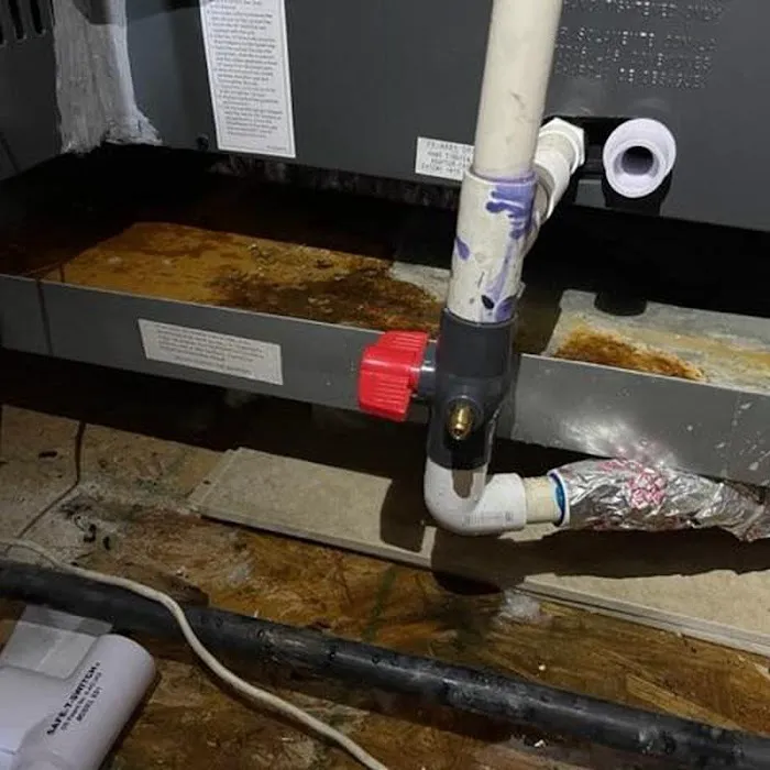 Prestige Air Picture 4