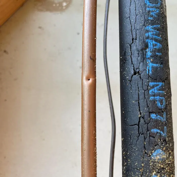 Prestige Air Picture 5