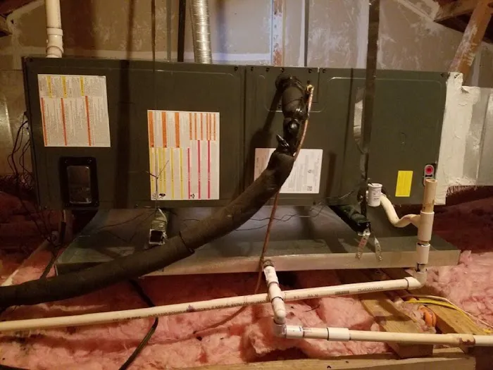 Ashford Mechanical Picture 6