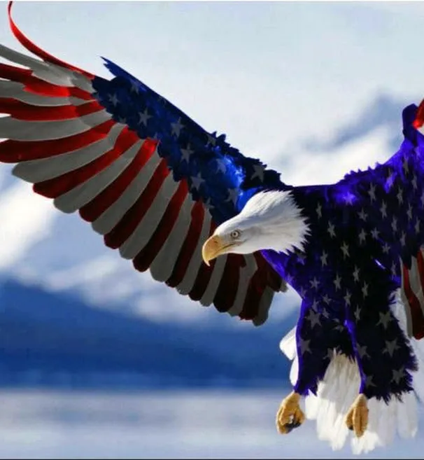 Breeze Air, Heat & Electrical Picture 5